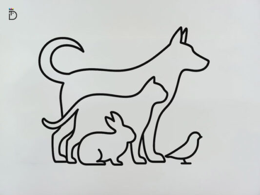 Acessórios PET Personalizados